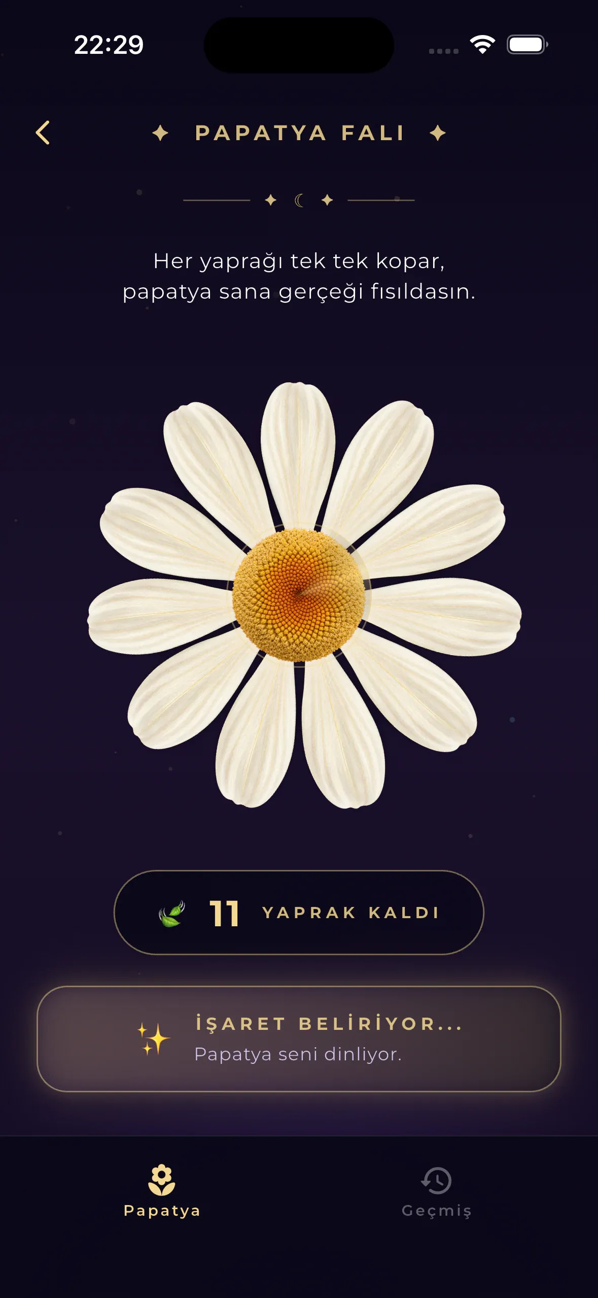 Luvris Papatya Falı — Yaprakları tek tek kopar — papatya gerçeği fısıldasın.